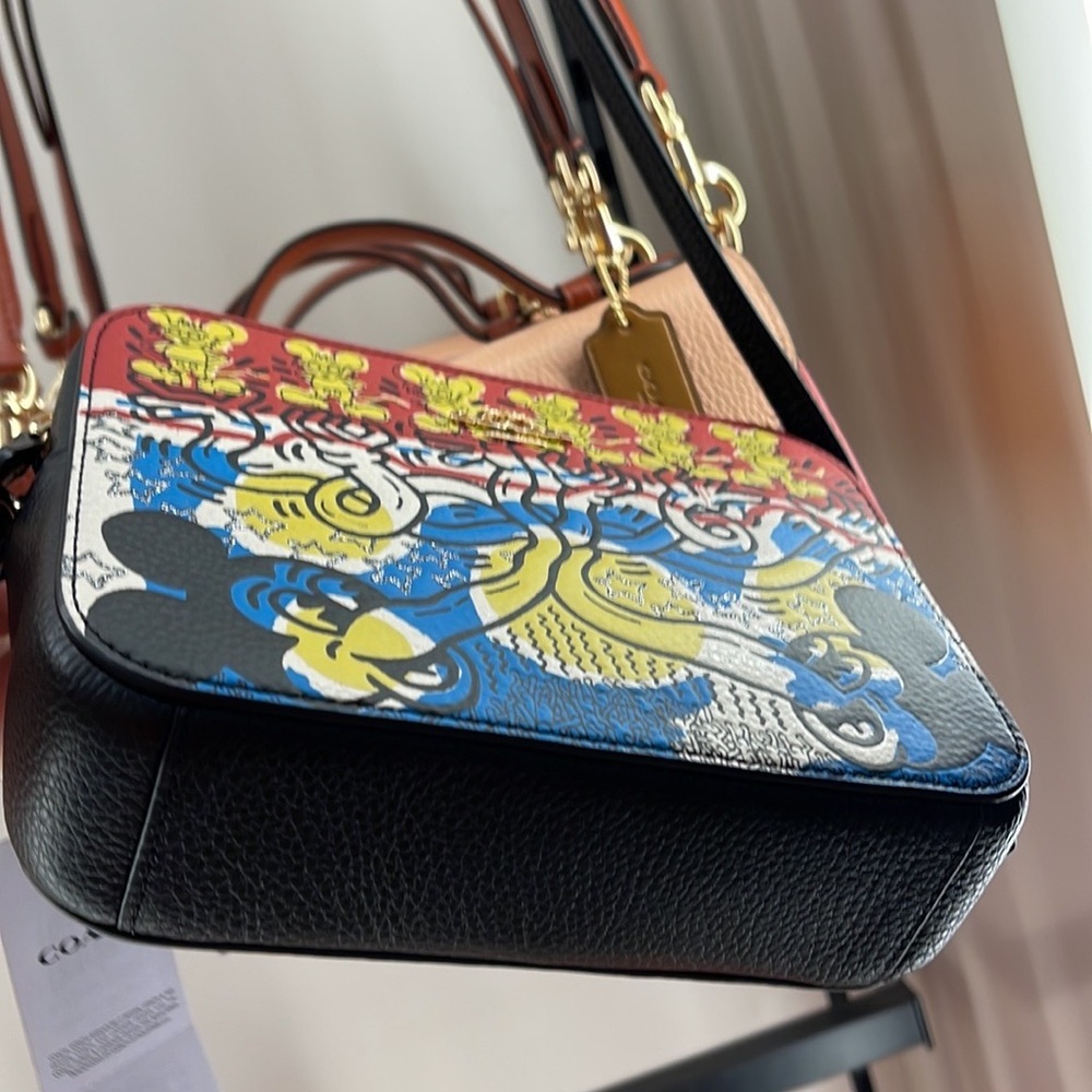 Coach Disney Mickey Mouse X Keith Haring Mini Camera Bag
Gold/Chalk Black Multi - Picture 11 of 16